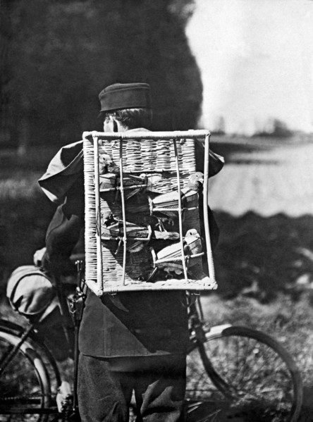 Swiss Army Pigeons