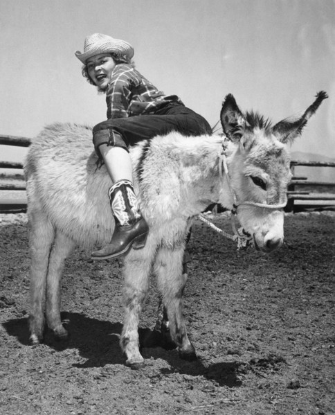 Cowgirl Backwards On A Donkey