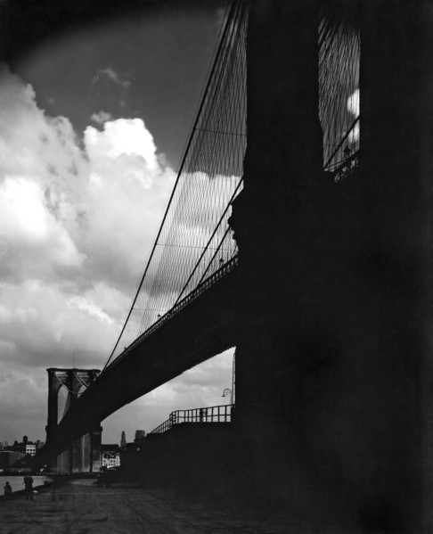 Manhattan Brooklyn Bridge View