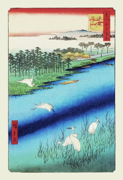 Cranes on the River