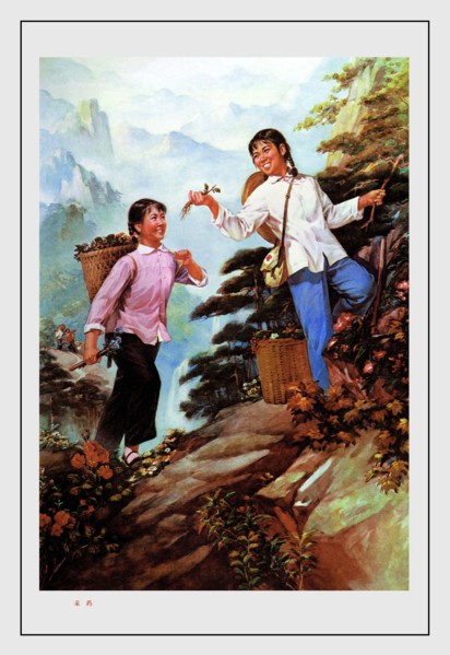 Picking Herbs