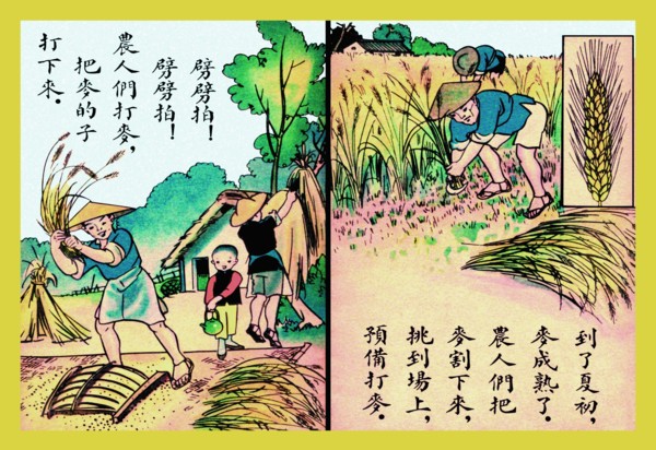 This Is How We Harvest Rice 1923
