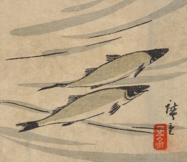 River Trout (Ayu zu)