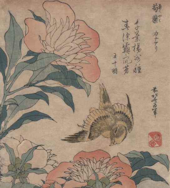 Peony & Canary 1833