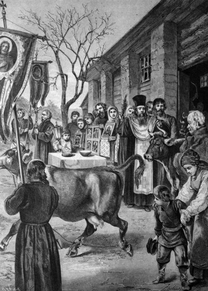 Blessing of cows