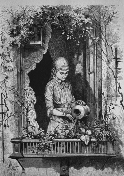 Girl watering flower