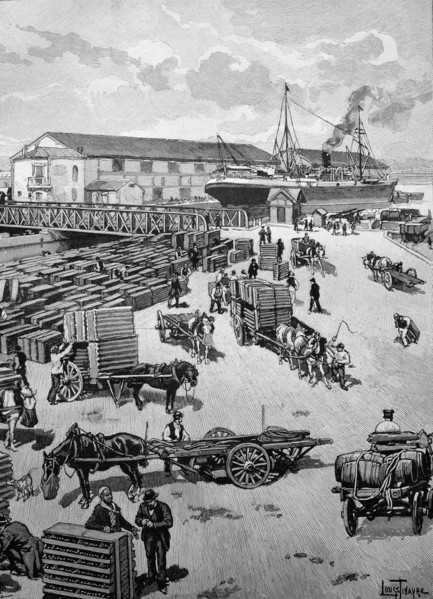 Disembarkation