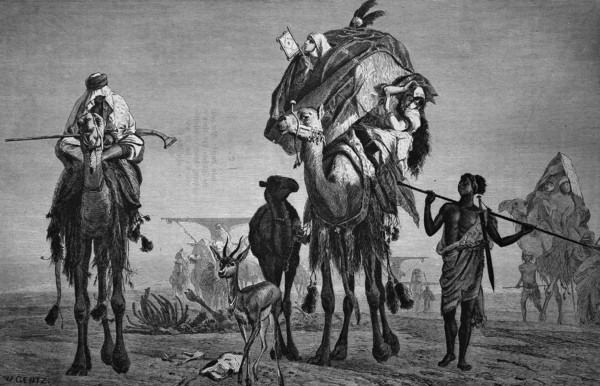 Wandering harem of a bedouin