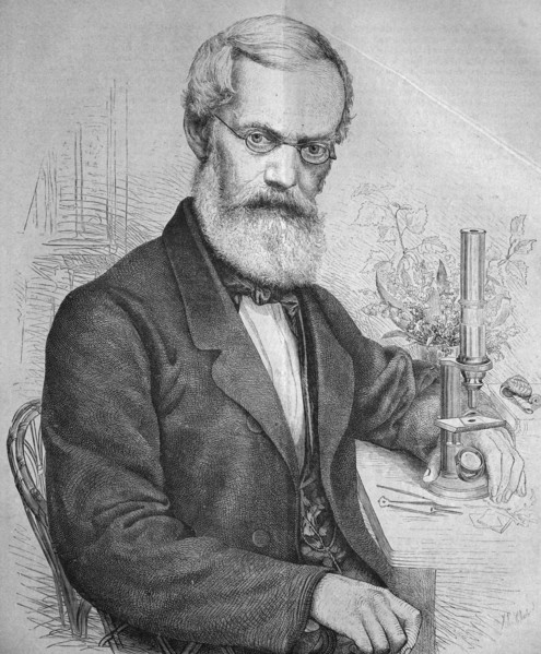 Emil adolf rossmaessler