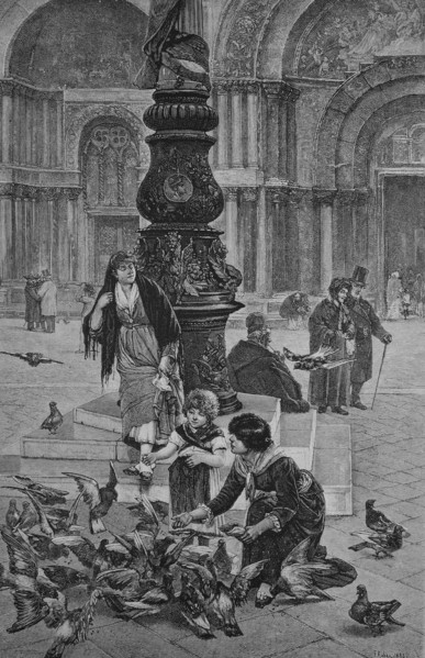 St mark's square in venice
