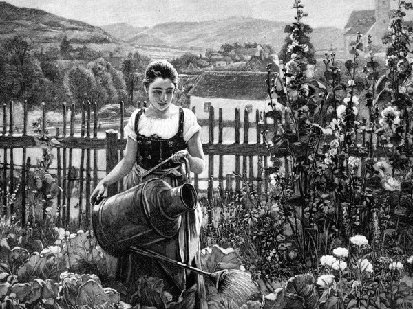 Woman watering plants