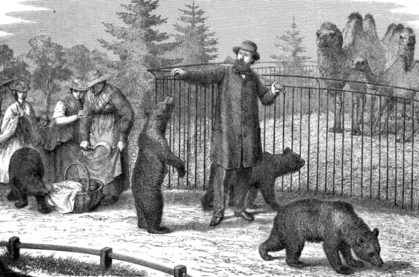 Walk in the zoo