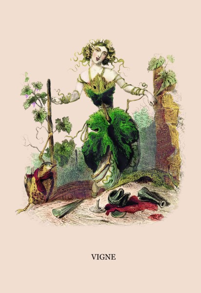 Vigne 1847