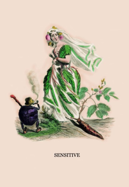 Sensitive 1847