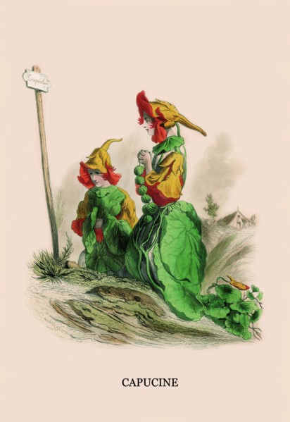 Capucine 1847