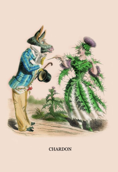 Chardon 1847