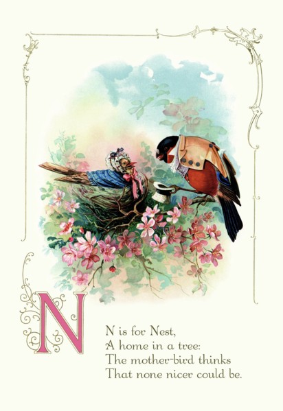 N is for Nest
