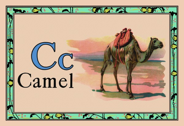 Camel 1926