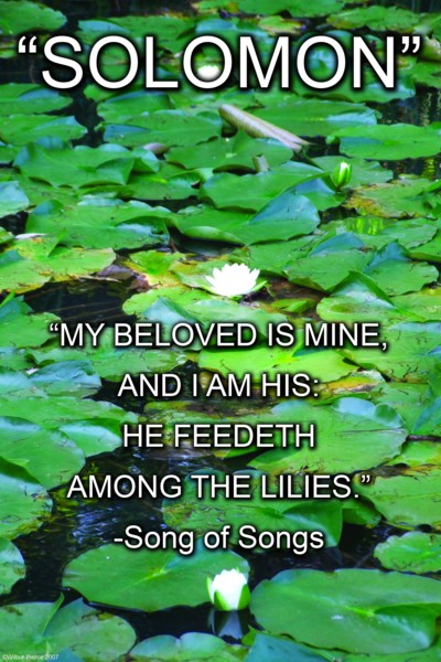 Solomon - Song of Songs 2008