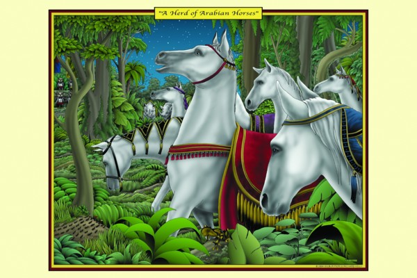 Herd of Arabian Horses 2006