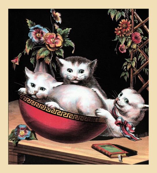 Merry Kitten 1877