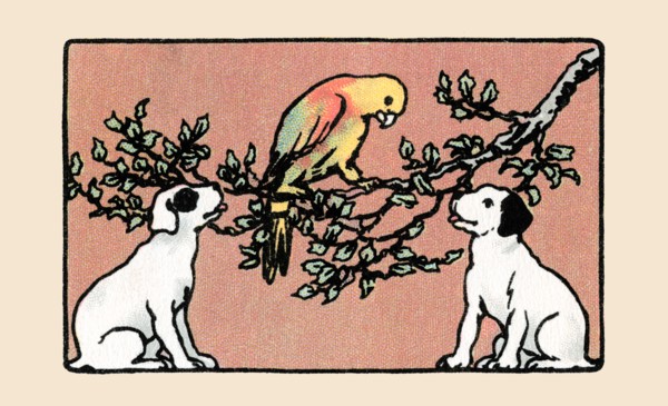 Snip and Snap and the Poll Parrot 1914