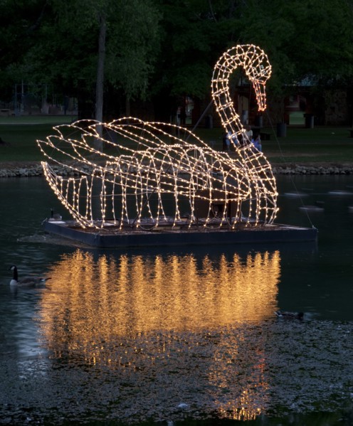Swan graces the water in the Spring Park, Tuscumbia, Alabama 2010