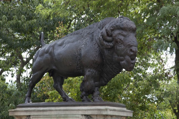 Buffalo statue Washington, D.C.  2010