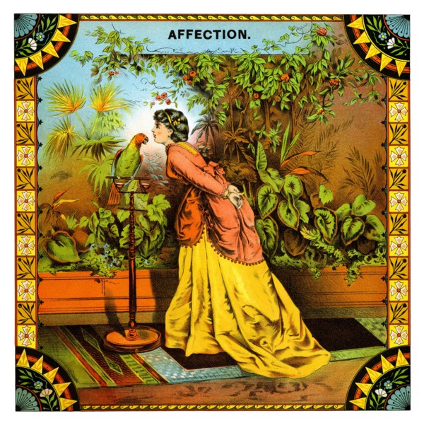 Affection