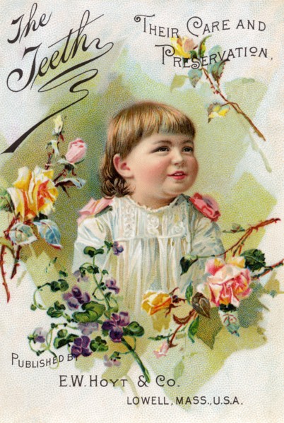 Teeth; Their Care and Preservation 1891