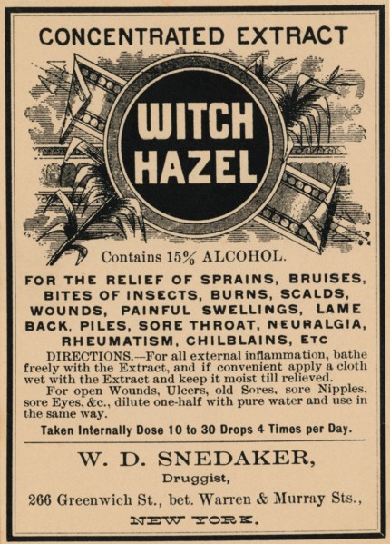 Witch Hazel