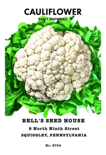 Cauliflower: Early Snowball