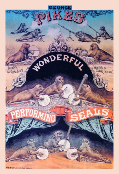 Pikes Wonderful Performing Seals