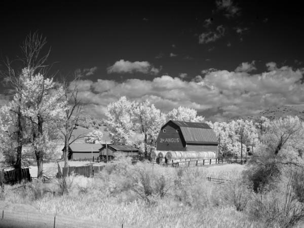Barn, rural Montana 2007