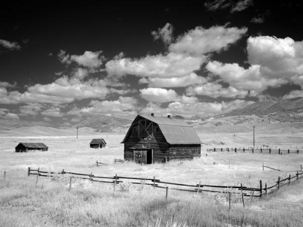 Barn, rural Montana 2007