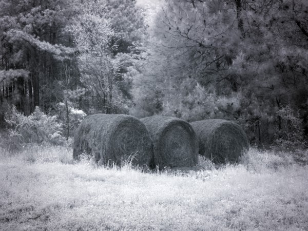 Rural scene in Alabama 2010