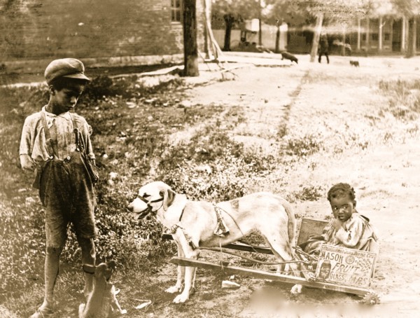 Putting on the Dog 1903