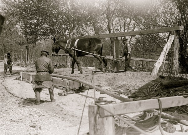 African American drilling a well with a horse on a turnstile 1914