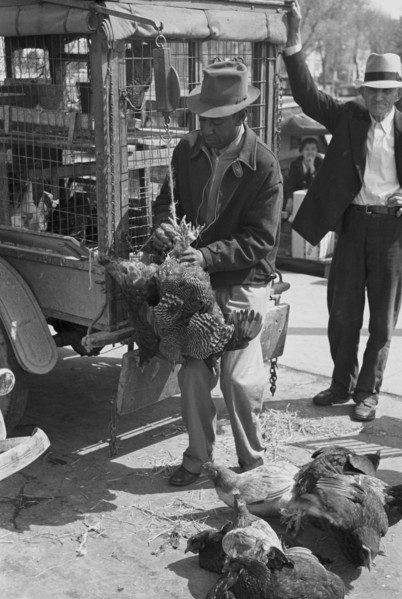 African American Weighing chickens in produce market, San Antonio, Texas 1938