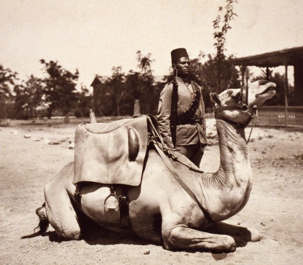 Anglo-Egyptian Sudan - camel soldier of the native forces of the British army 1915