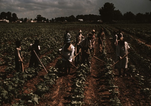 Bayou Bourbeau plantation operated by Bayou Bourbeau Farmstead Association, a cooperative established through the cooperation of FSA, Natchitoches, La. 1940