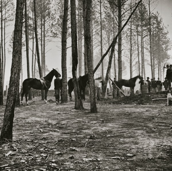 Cavalry detail at Gen. Adelbert Ames headquarters 1863
