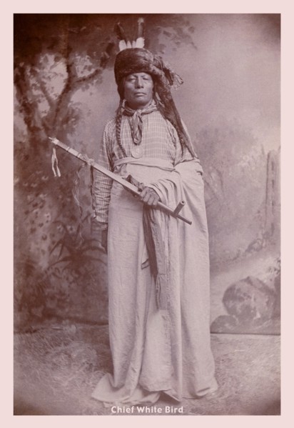 Chief White Bird