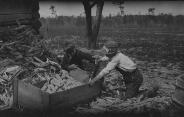 Children thrashing corn during school hours on a farm near Dublin. Many such light occupations fall to the lot of the Georgia child. 1915