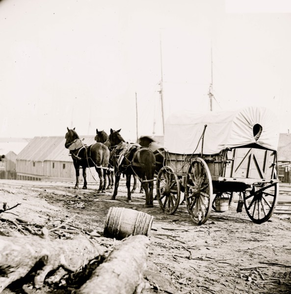 City Point, Virginia (vicinity). Four-mule army team and wagon 1865