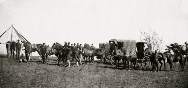 Culpeper, Virginia. Capt. Pierce's private horses, wagons, etc. 1863
