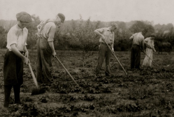 Farming when not delivery dairy Products 1916