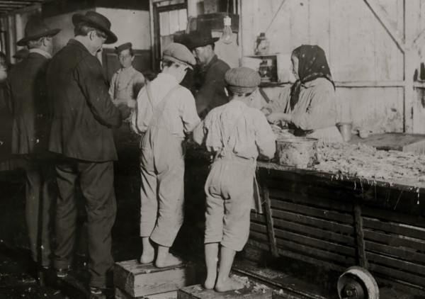 Eight-year-old Max, one of the young shrimp pickers in the Dunbar, Lopez, Dukate Company. Only a small force was working that day 1911