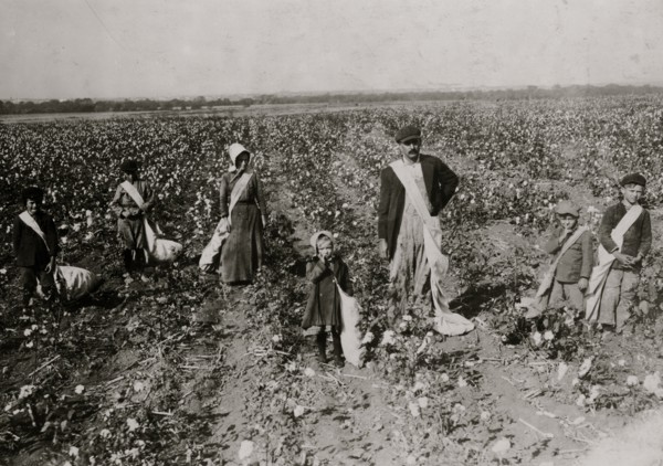 A Family of Cotton Pickers 1916