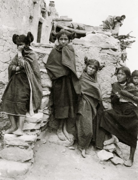 Bashful 1900
